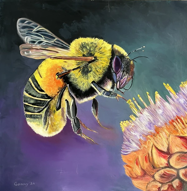 Akkerhommel