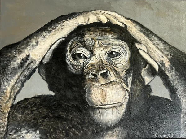 Chimpansee