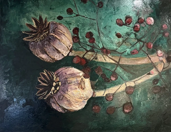 Papaver