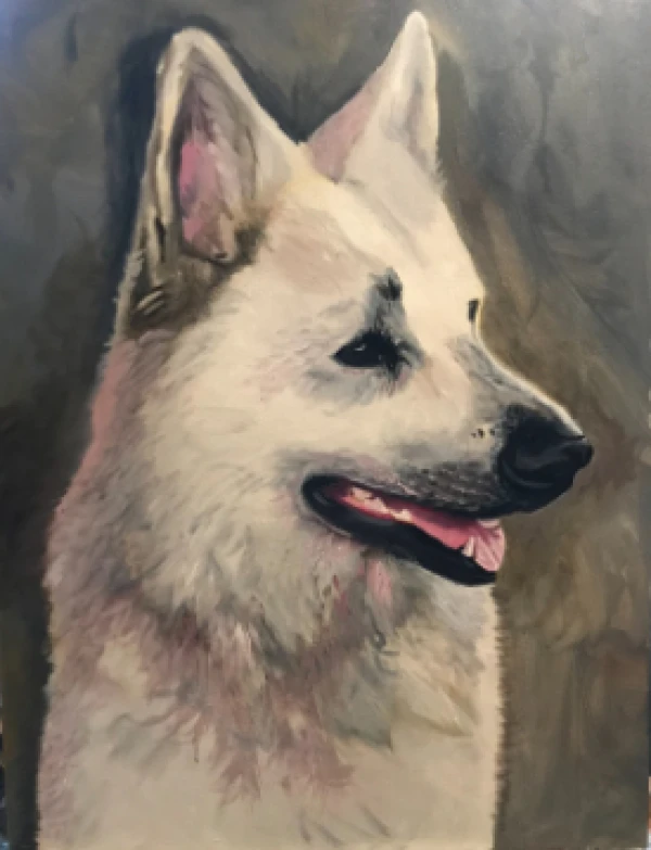 Witte herder